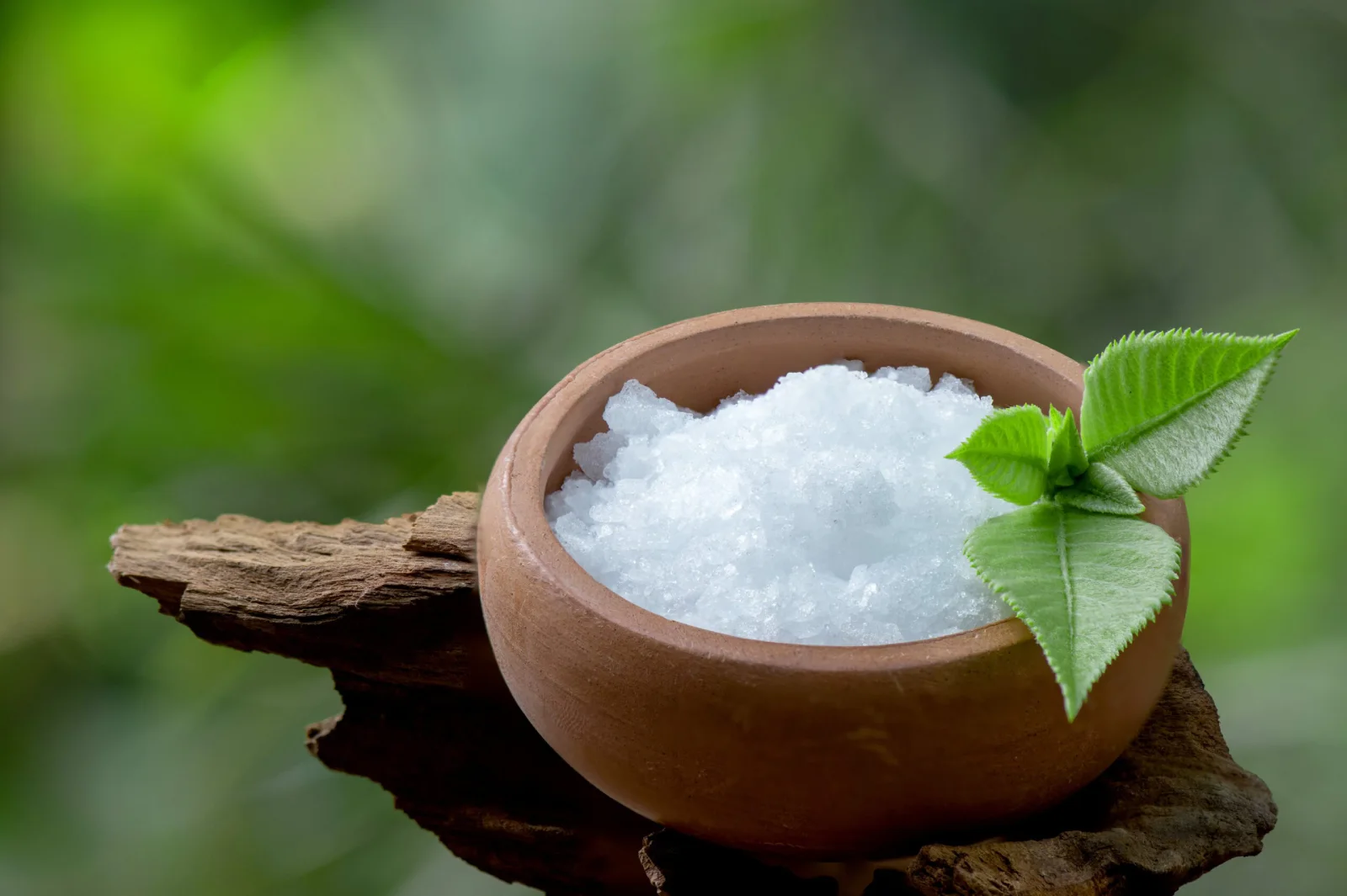 Camphor Powder